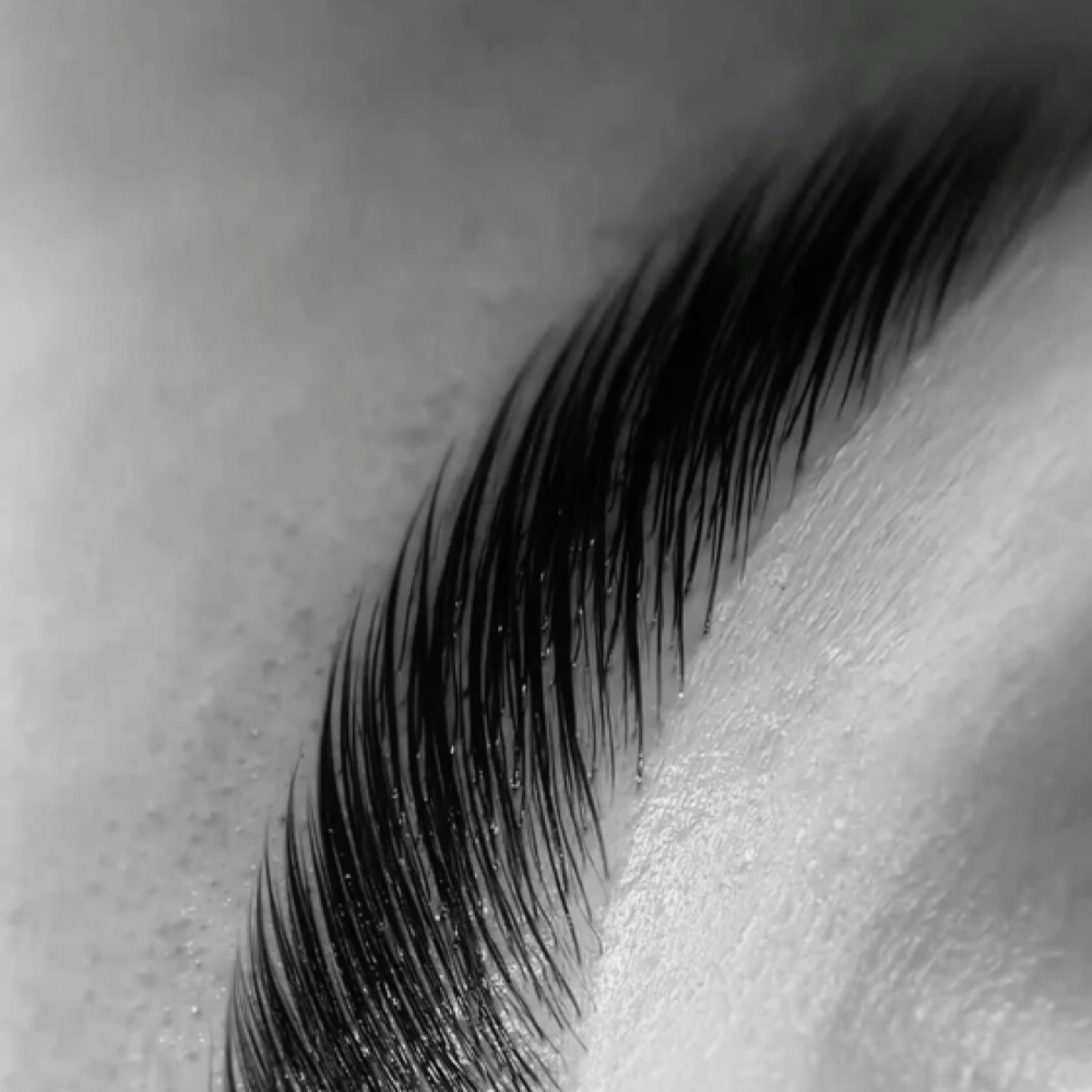 Brow Goals at Esthetics by Haley in Perrysburg, OH