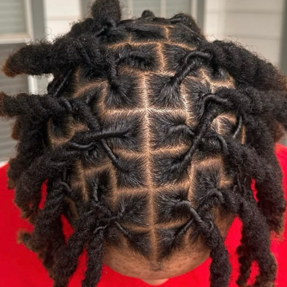 Traditional Locs at The Art of Beauty School & Salon in Maricopa, AZ
