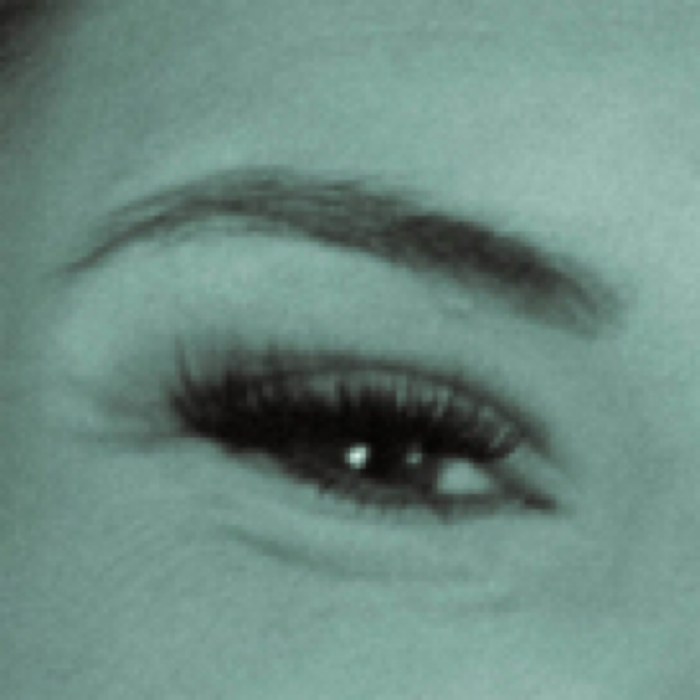 Brow Maintenance at Shearly Southern Salon in Pickens, SC