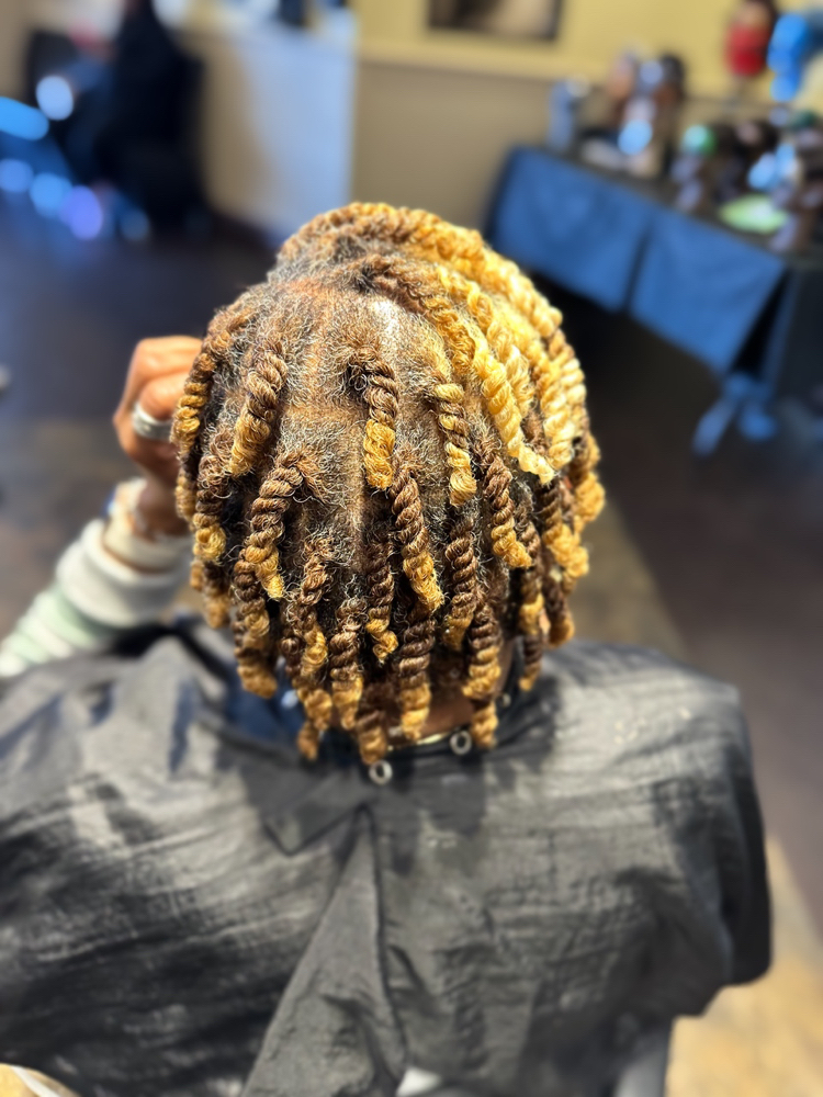 Two Strand Twist