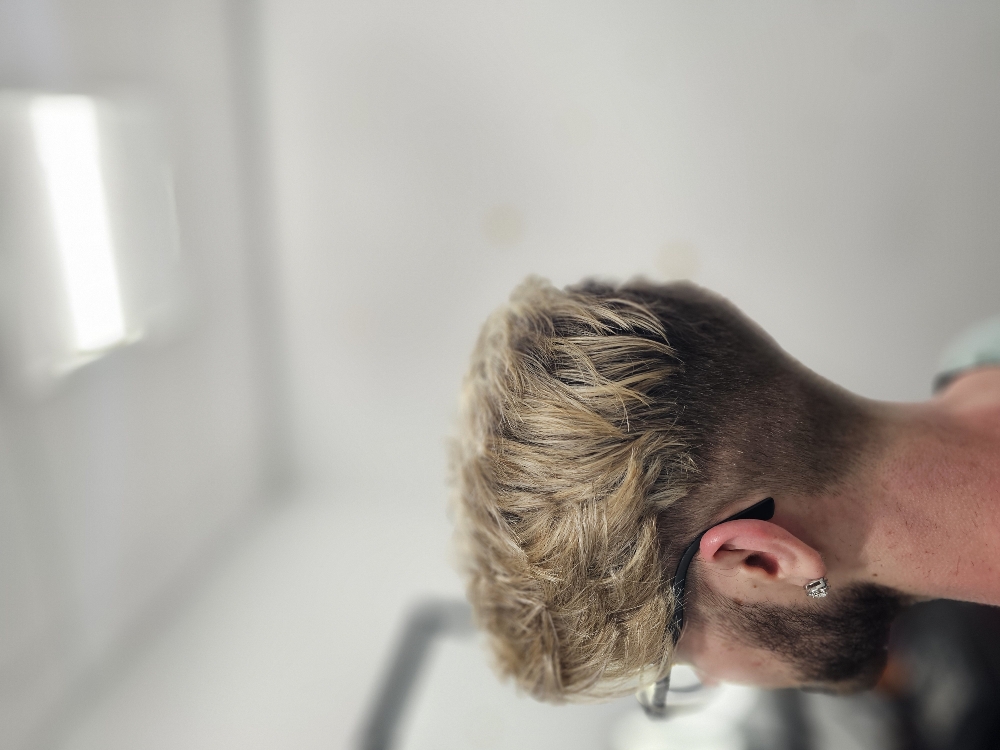 PARTIAL HIGHLIGHT