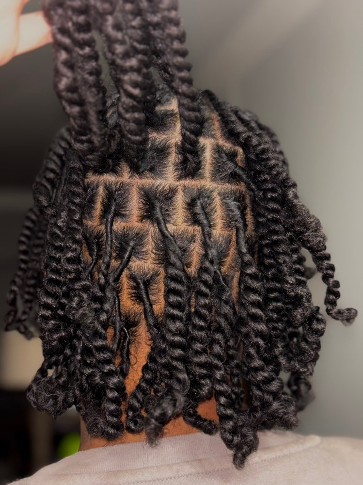 Mini Twists