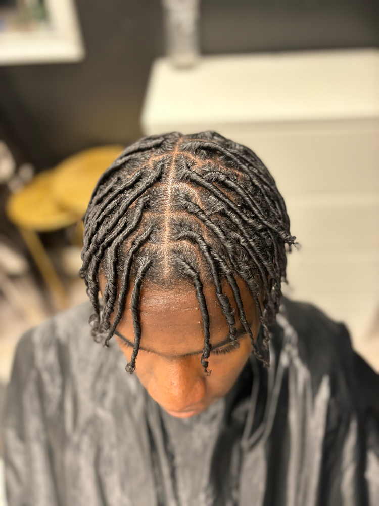 Starter Locs (Full Head)