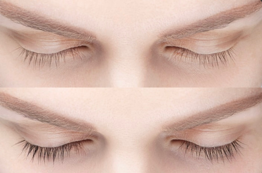 Lash Tint Only