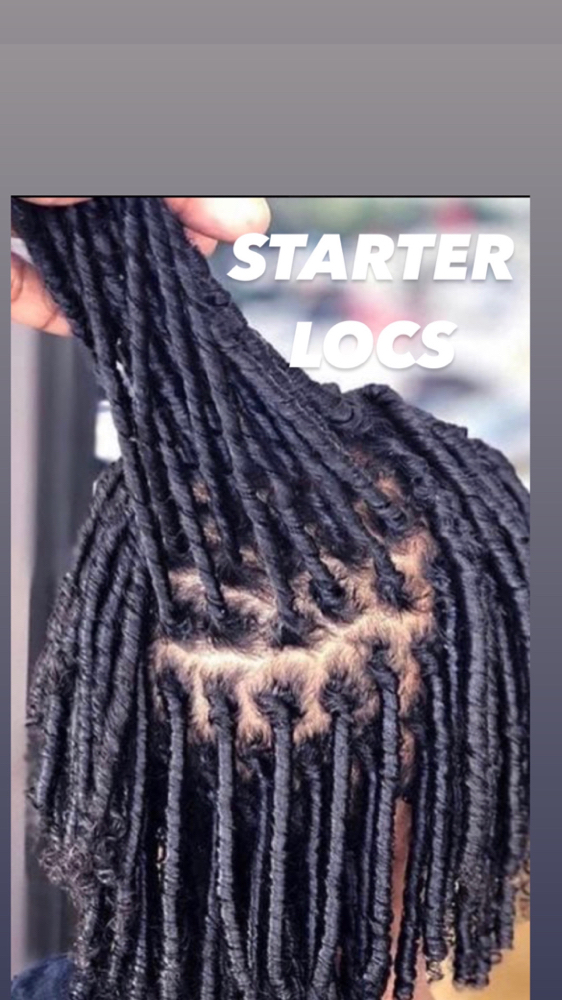 Starter Locs