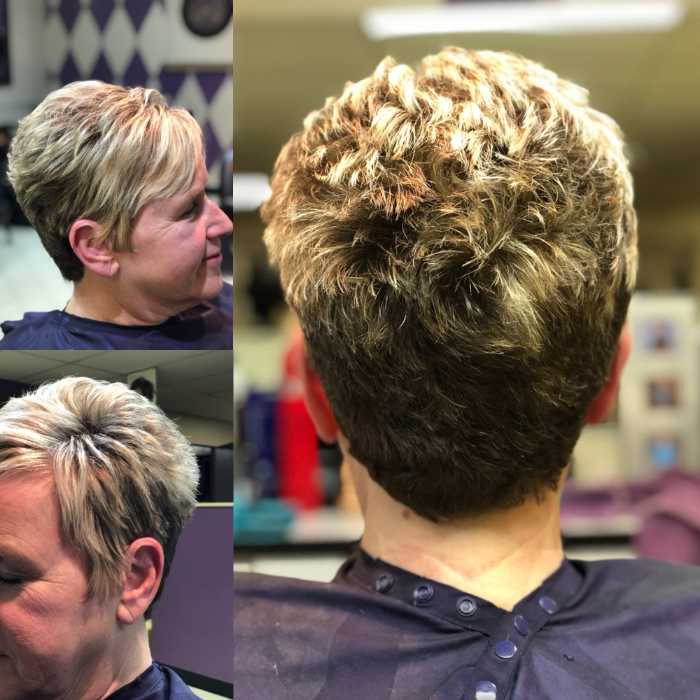 Shampoo Cut