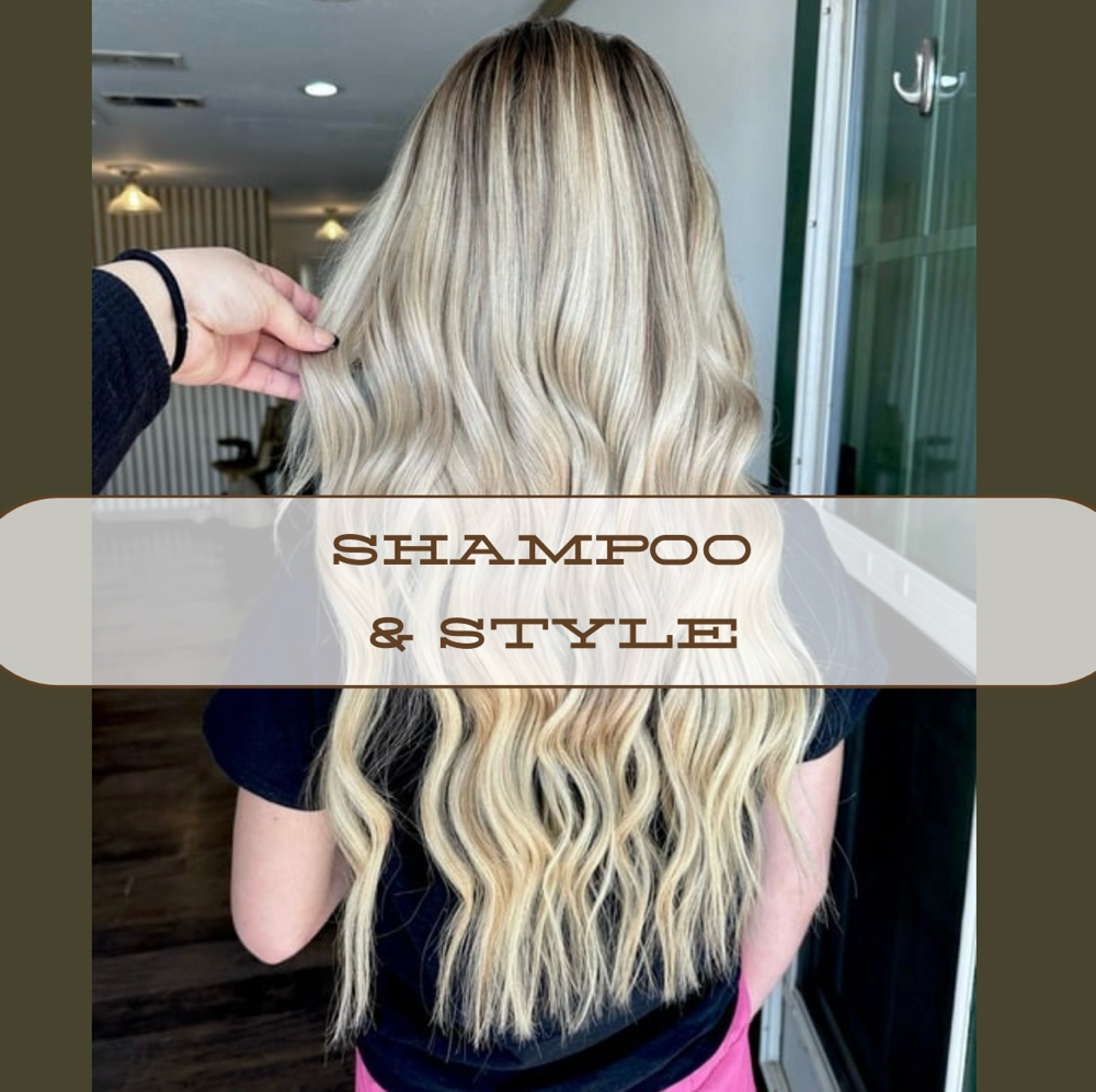 Shampoo And Style