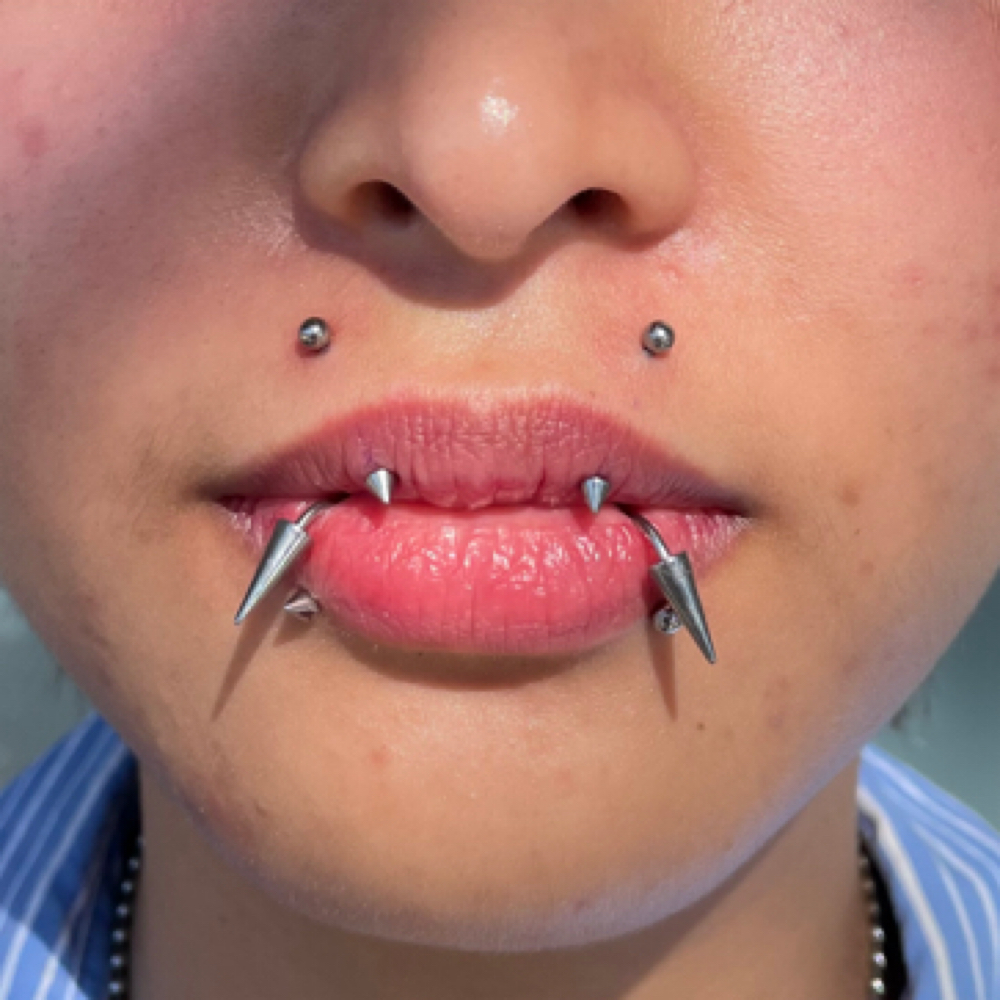 Paired Upper V Labret (Angel Fangs) at Piercedbyrayo in Clovis, CA