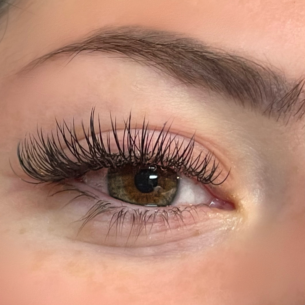 Classic Lash Extentions Infill