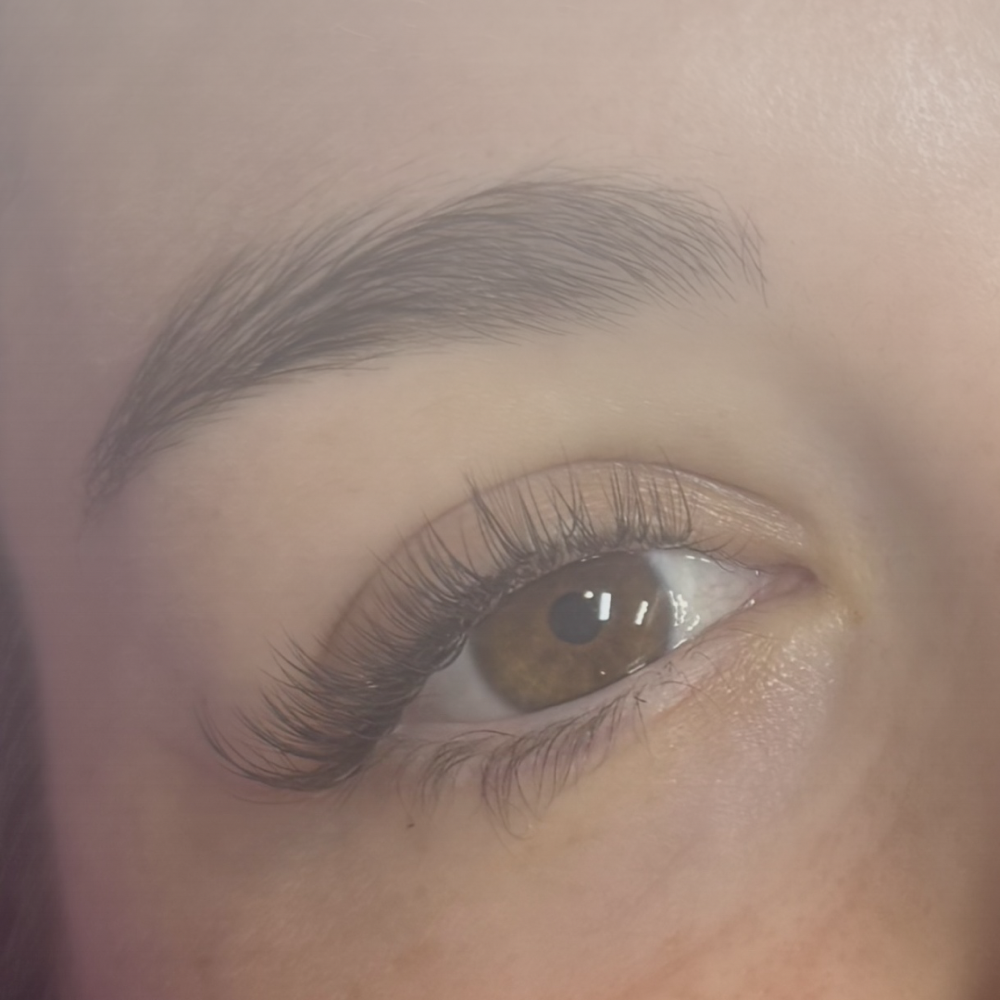 Classic Lash Extentions Infill