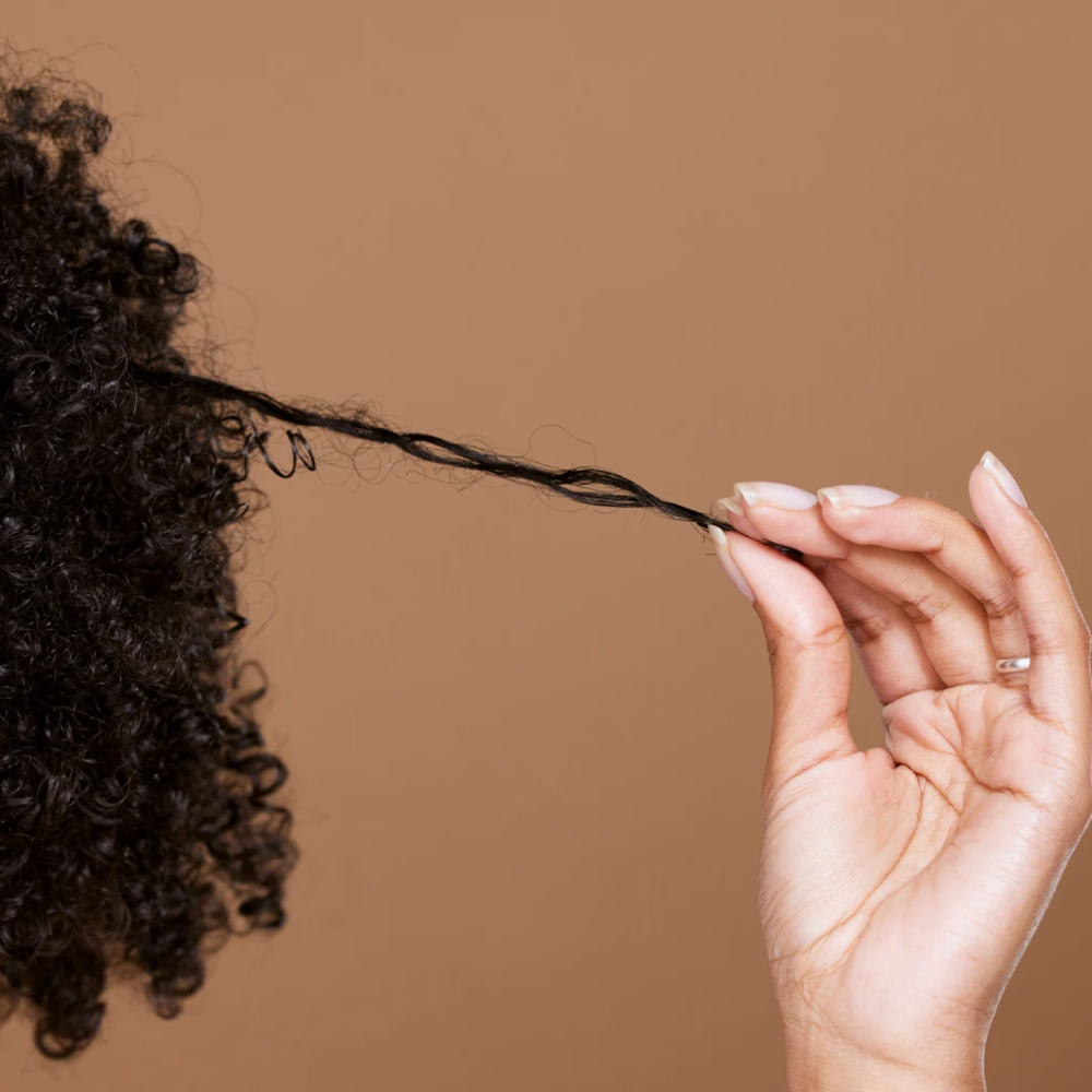 Hair + Scalp Wellness Consultation at DeShawna Briscoe Salon in Durham, NC