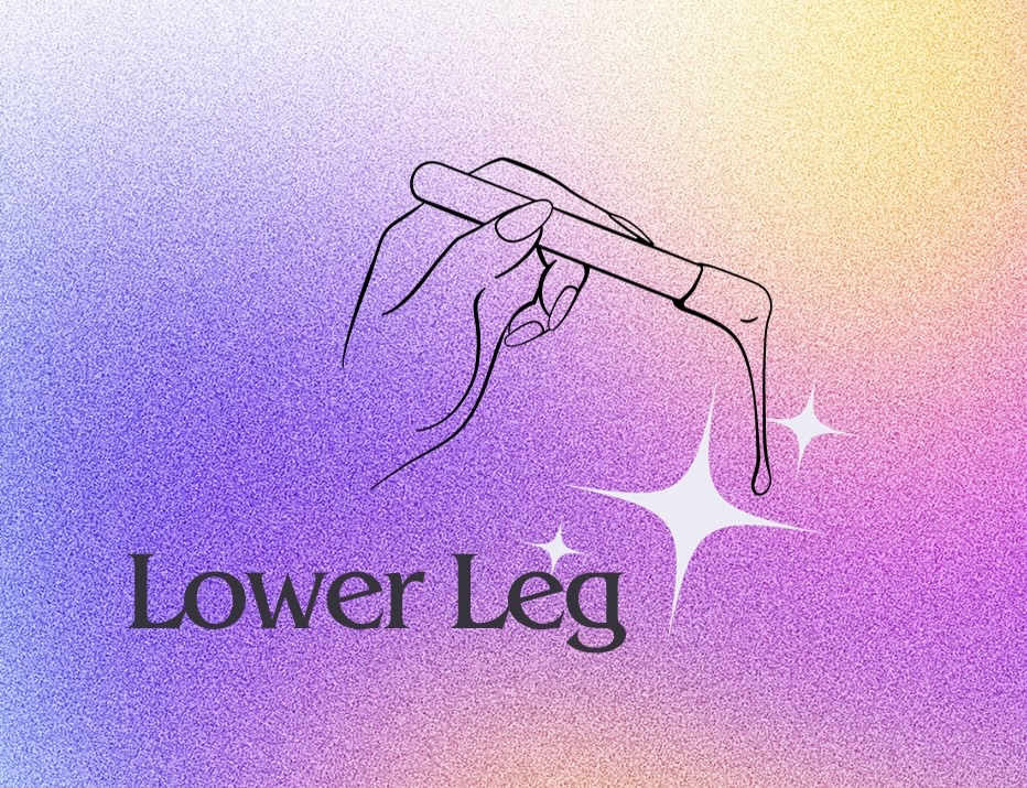 Lower Leg