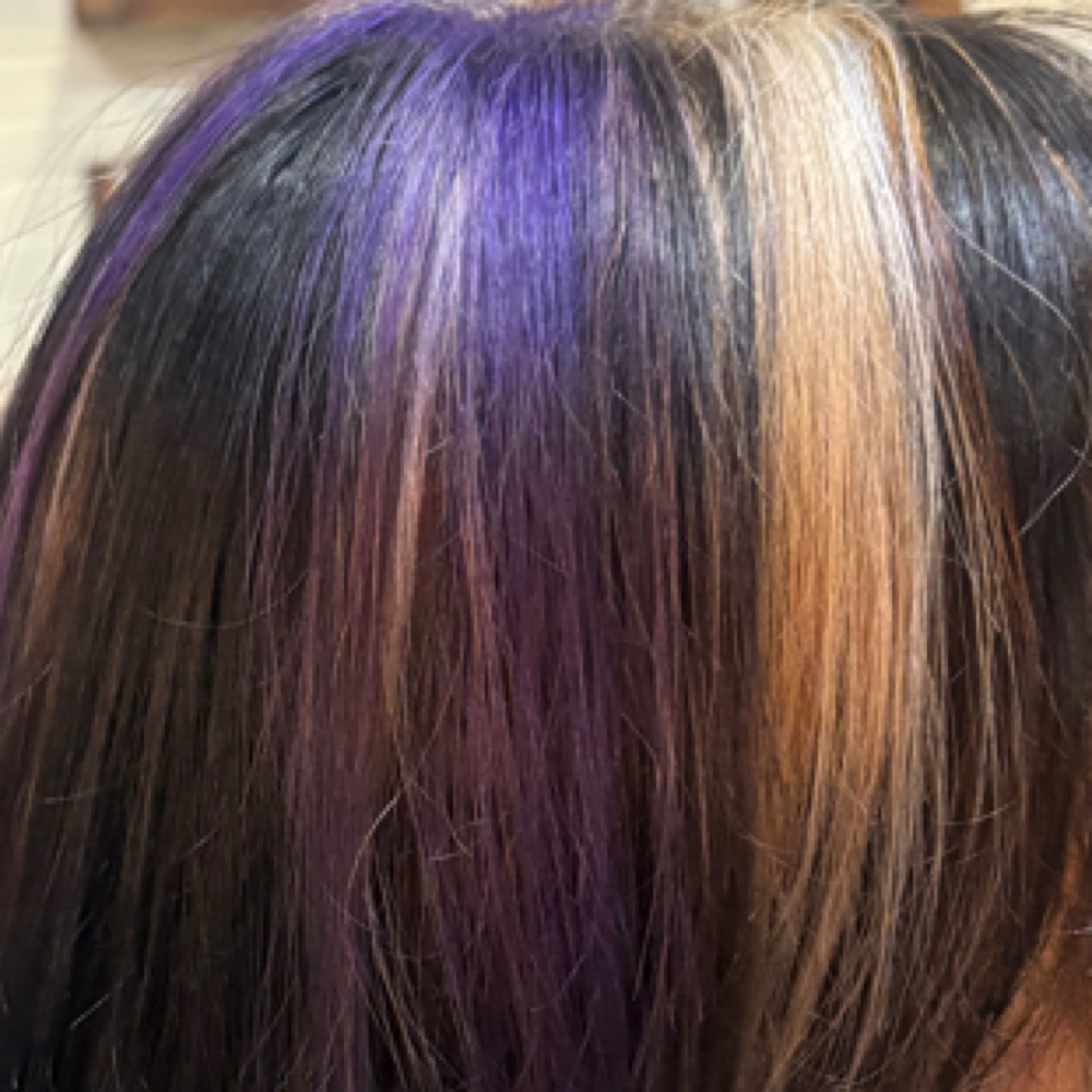 Fashion Color highlight at The Em Effect in fort collins, CO