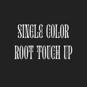Single Color Root Touch Up at Savannah Yokley @ Cut & Color Studio in Clemmons, NC
