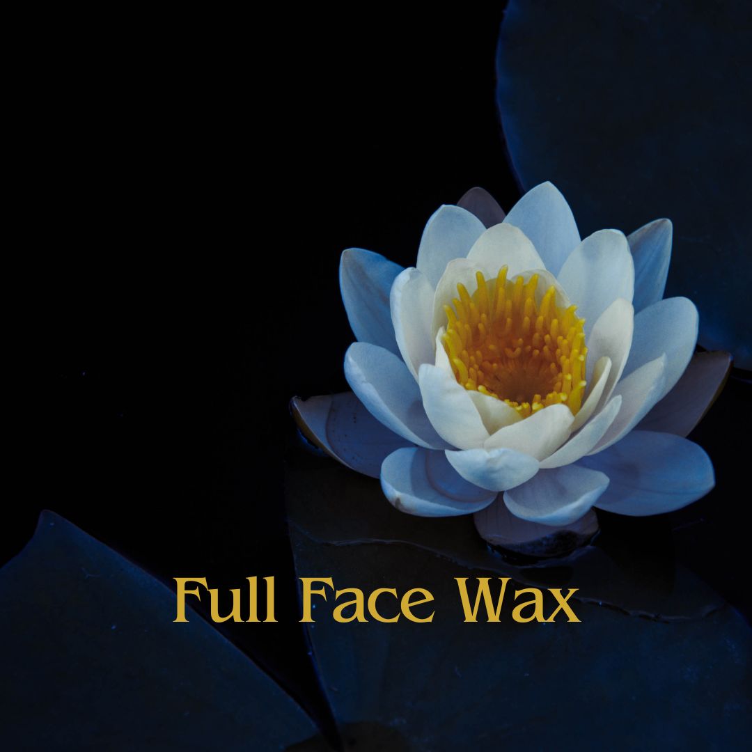 Full Face Wax at Blue Lotus Beauty Spa in Sheboygan, WI