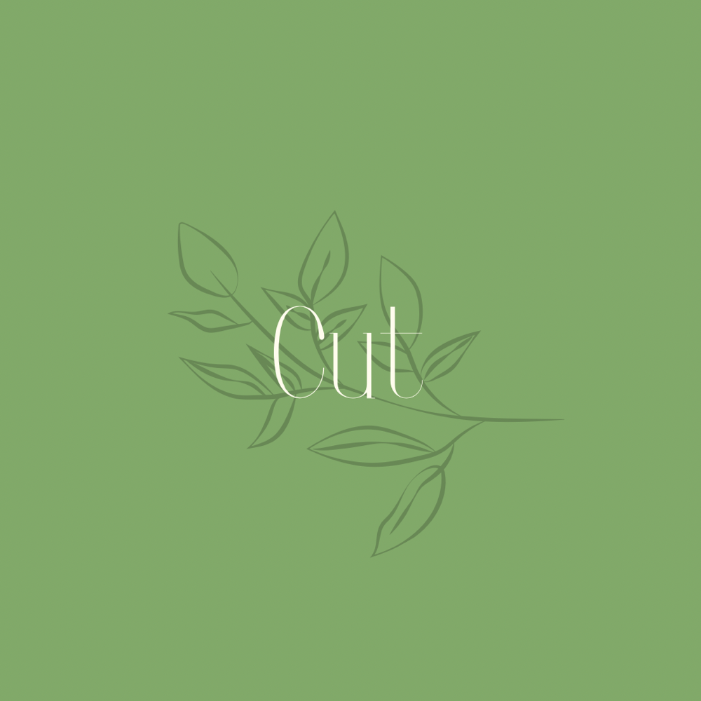 Cut
