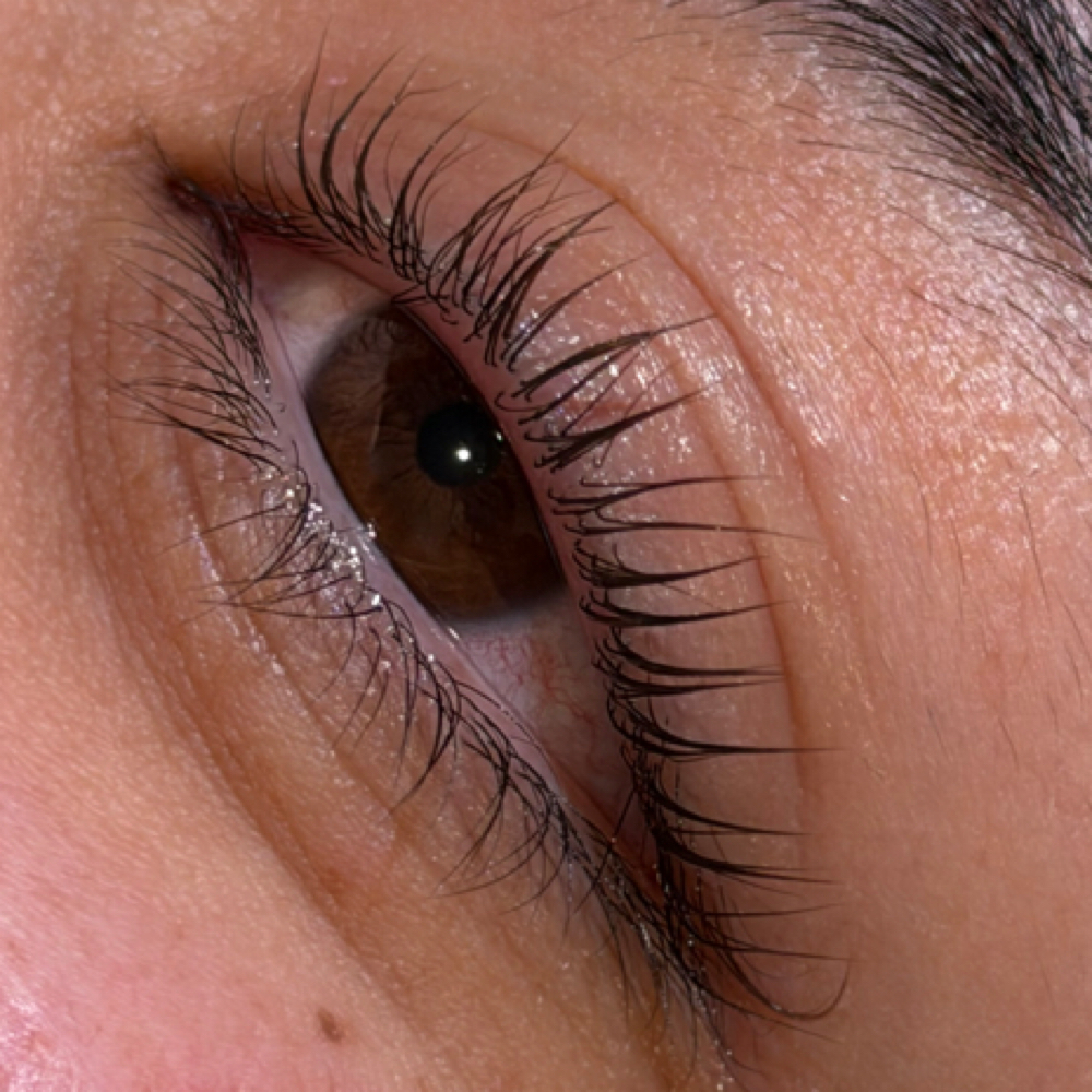 Lash Lift at Elexine Gonzalez in Hanford, CA
