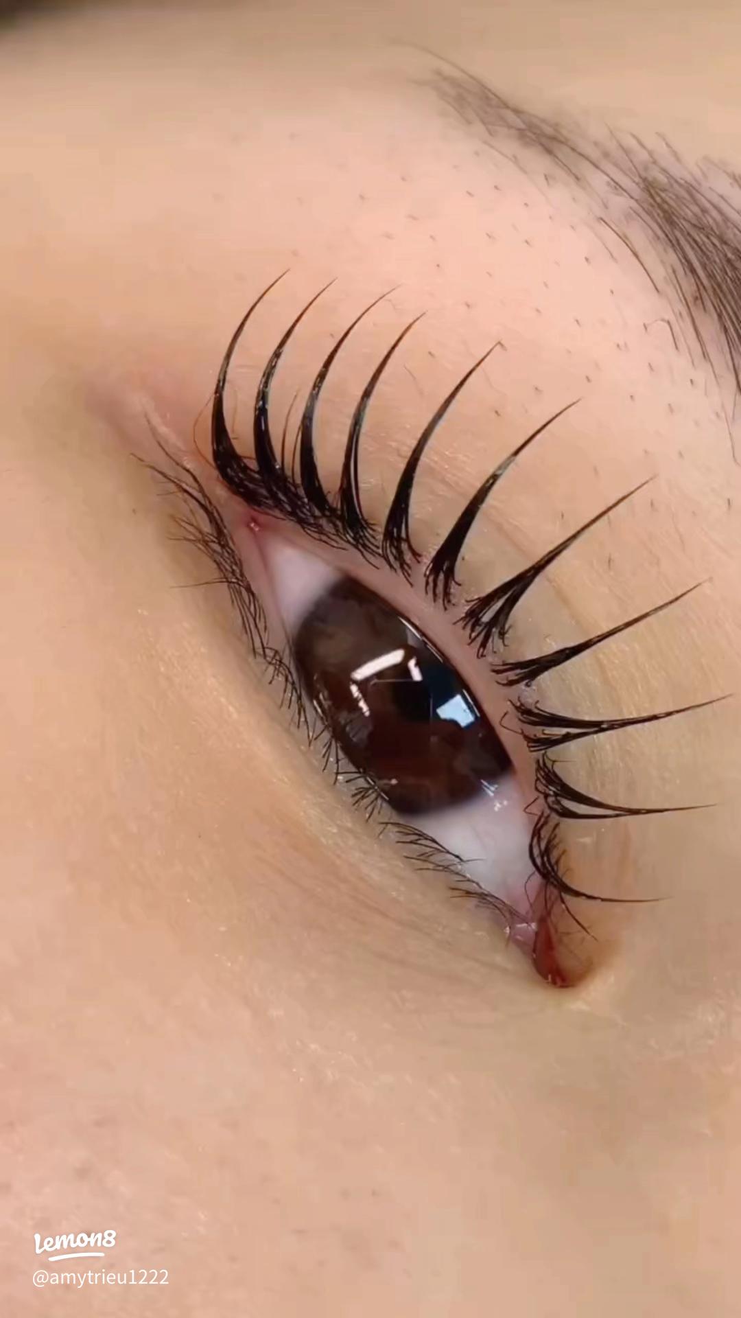 Anime Eyelash Lift & Tint