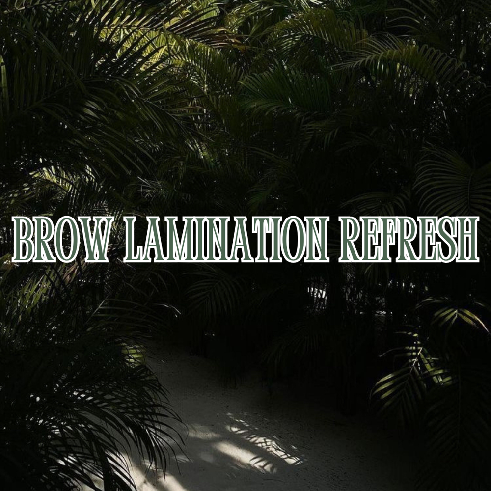 BROW LAMINATION REFRESH at SkinxHim Aesthetics in Athens, TX