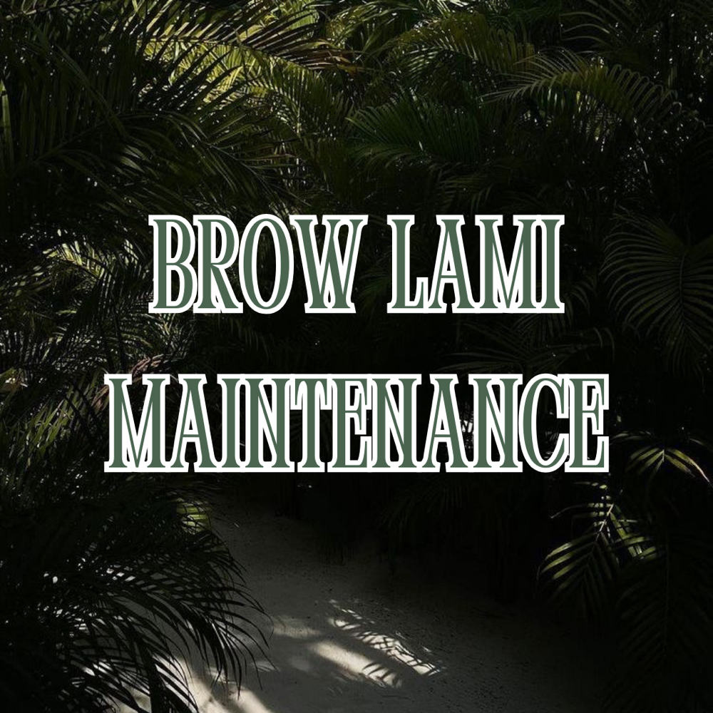 BROW LAMI MAINTENANCE at SkinxHim Aesthetics in Athens, TX
