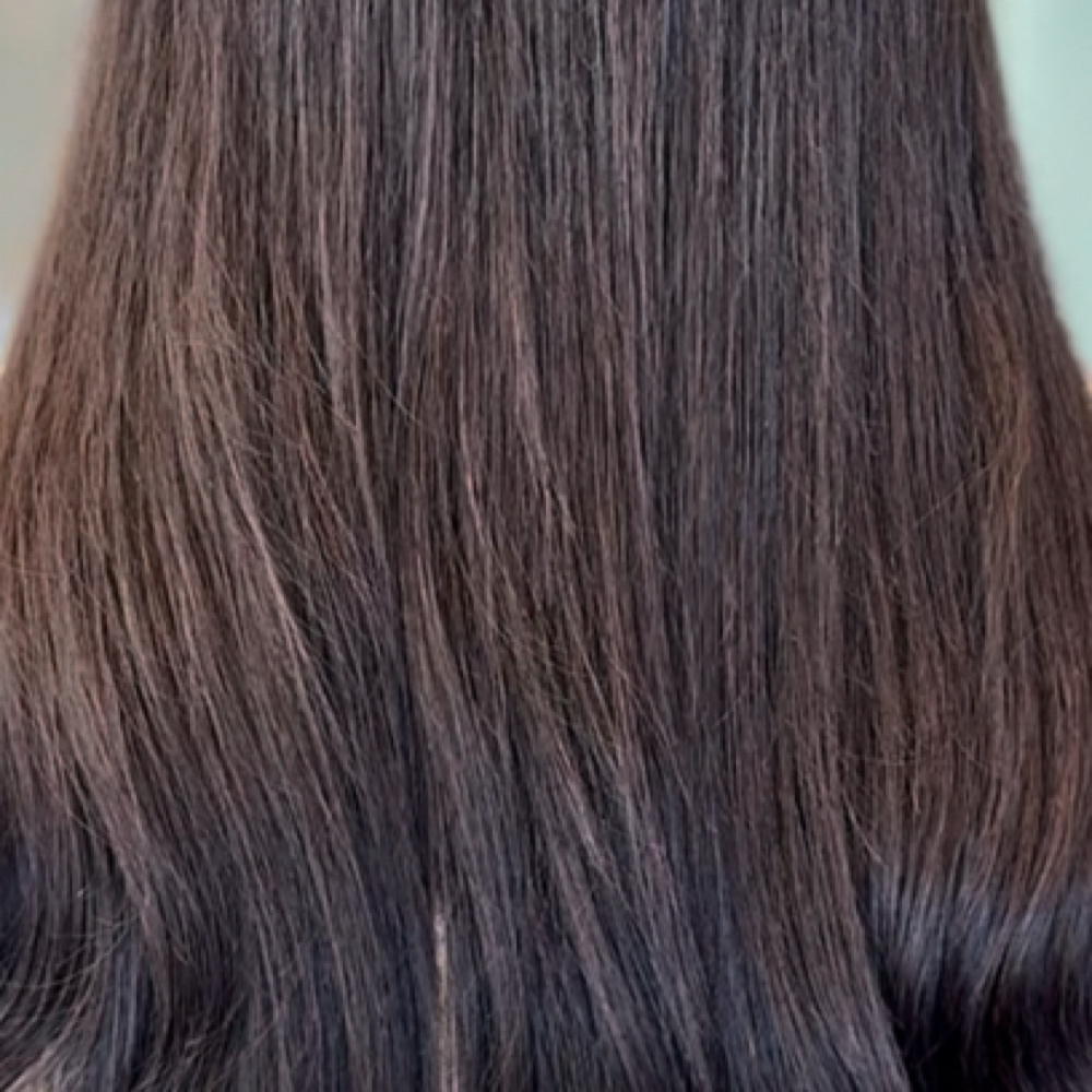 Full Authority Tint at The Hair Boss in Webster, TX