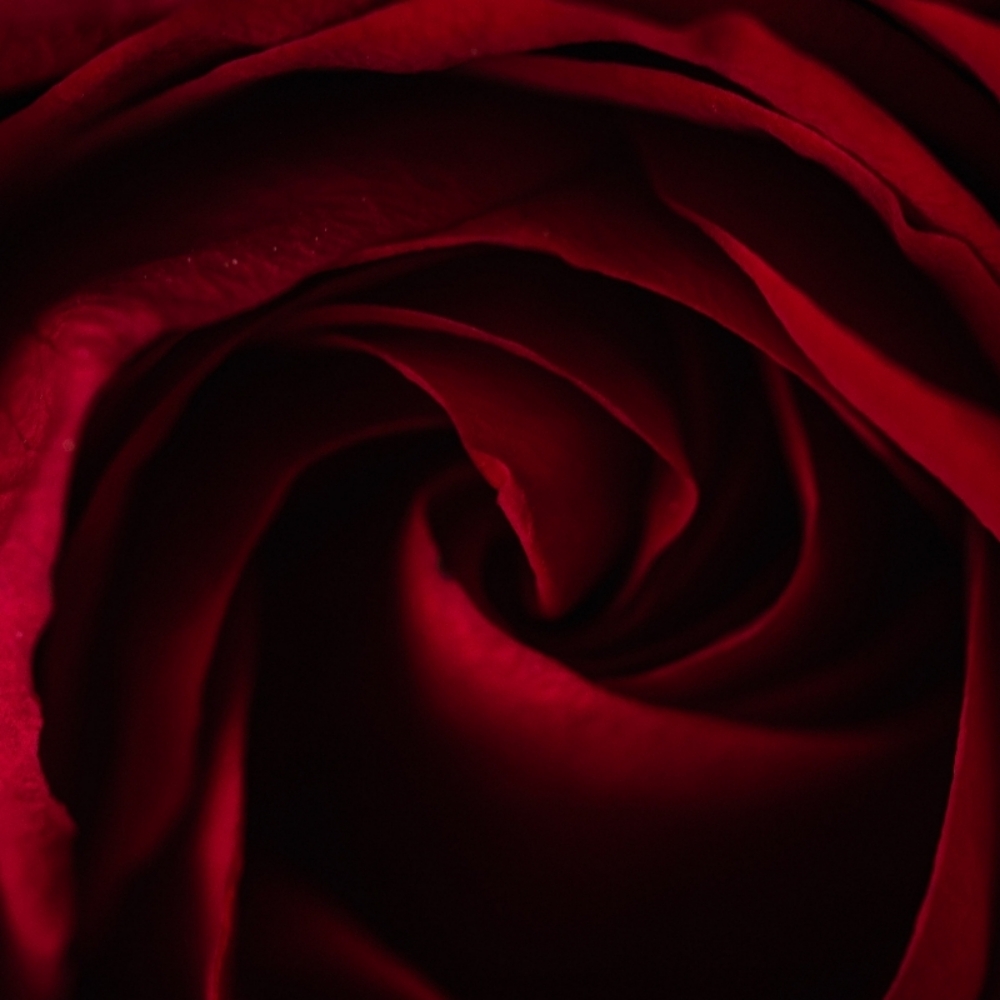 THE SIGNATURE EXPERIENCE at Bayshore Beauty in Keyport, NJ