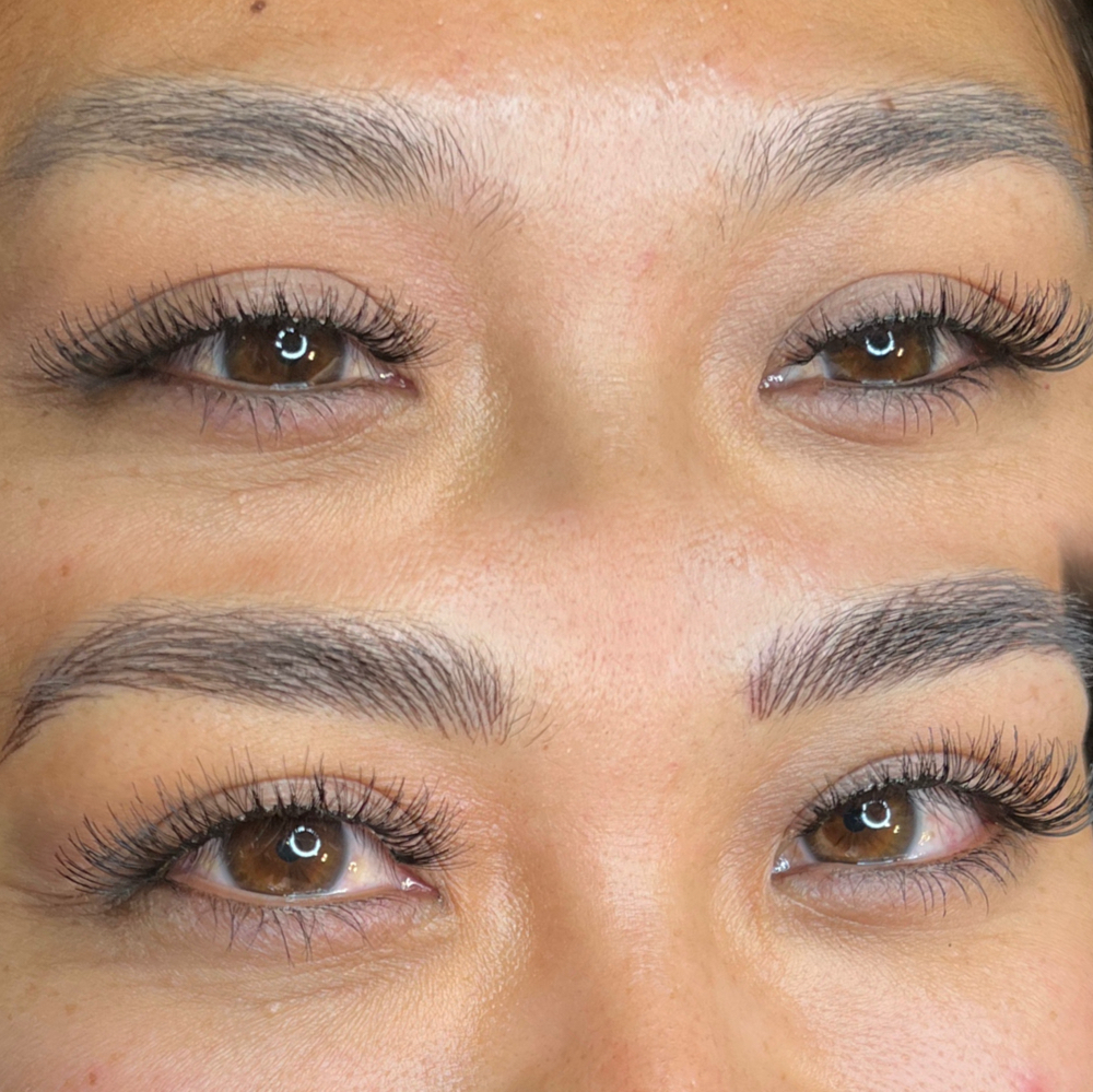 Nano Brows at Vixxen Cosmetic Tattoos in Roseville, CA