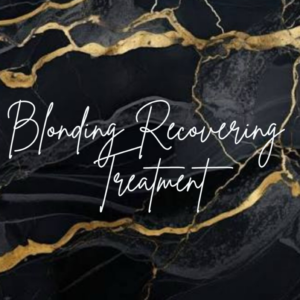 Blonding Recovery Ritual at The Saint James Hair Studio in Falls Church, VA
