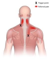 Massage Therapy Specific-30 Minutes