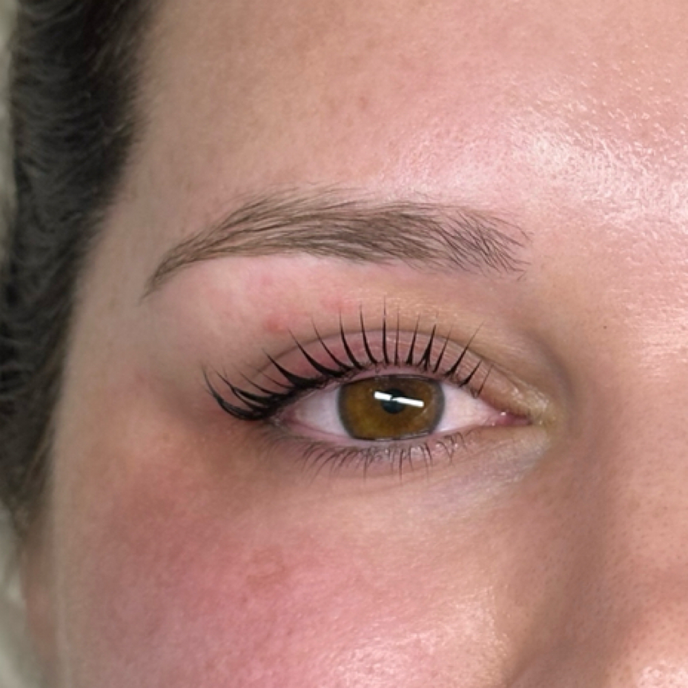 New Client Goddess Lash Lift & Tint at The Goddess Edit Beauty Lounge in Sterling, VA