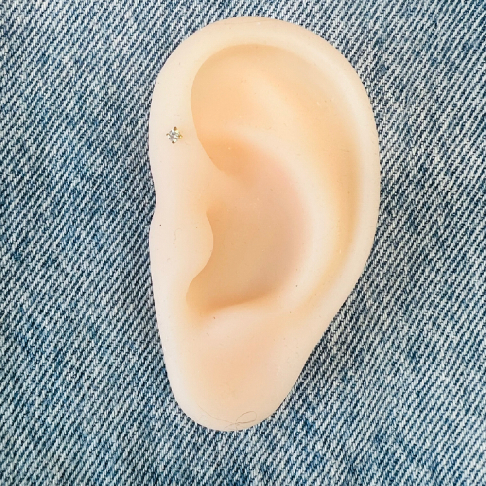 Forward Helix at The Brow & Skin Co. by Shannon in Cranberry Twp., PA