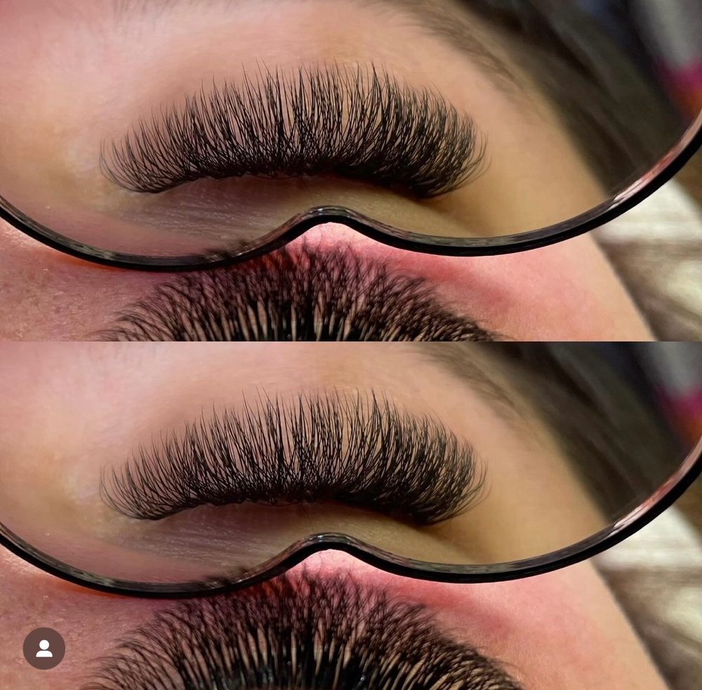 Classic Plus Clover Lash