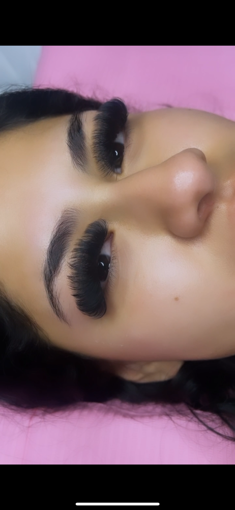 Mega Volume Lashes
