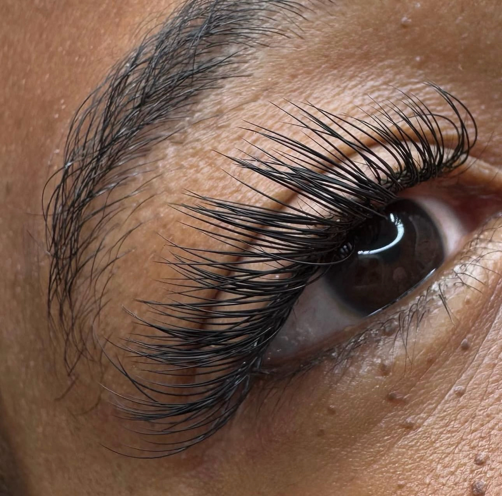 Lash Refill