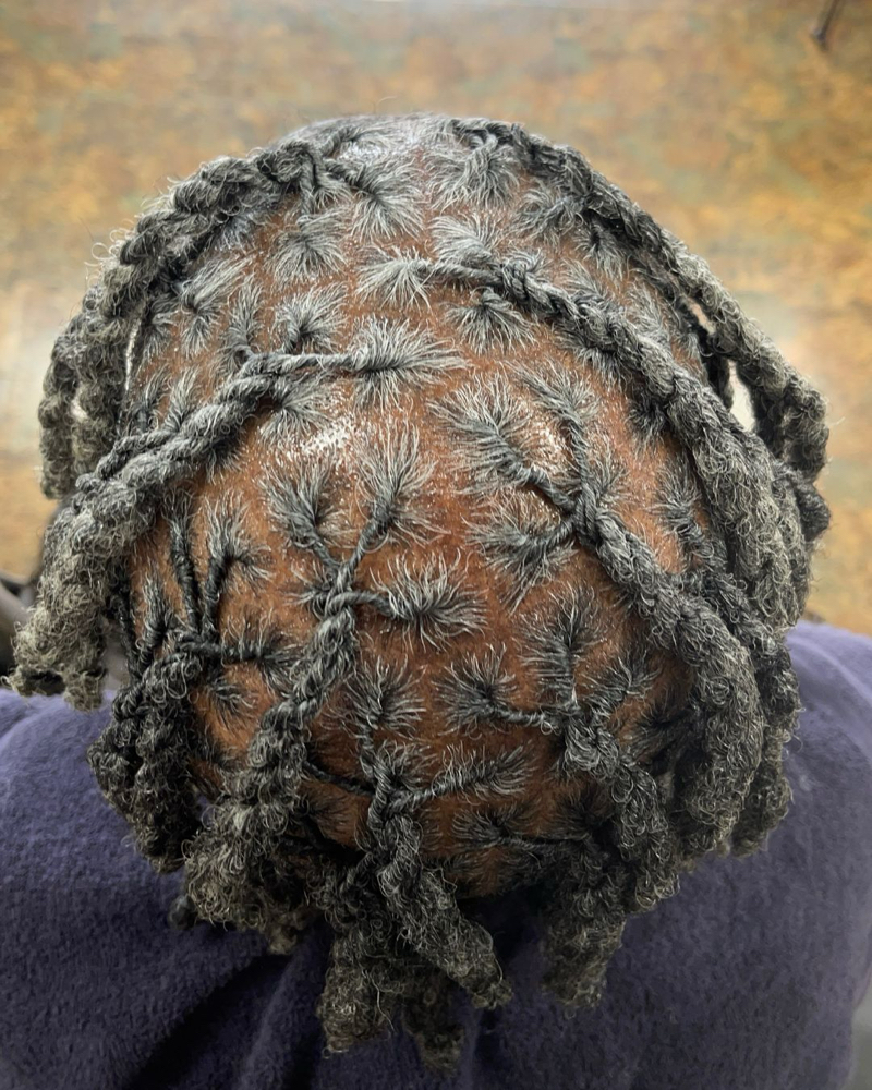 Small Locs(130-140) at Styled by the Starr in Covington, GA