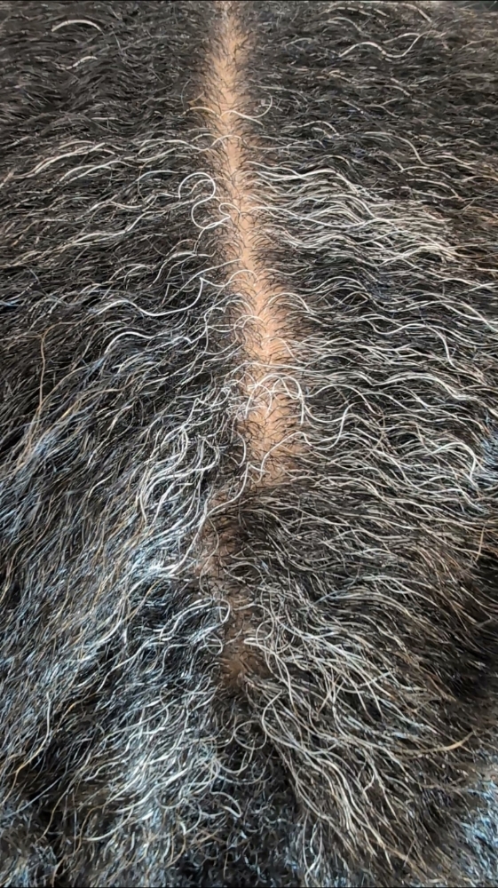 Gray Root Touch up