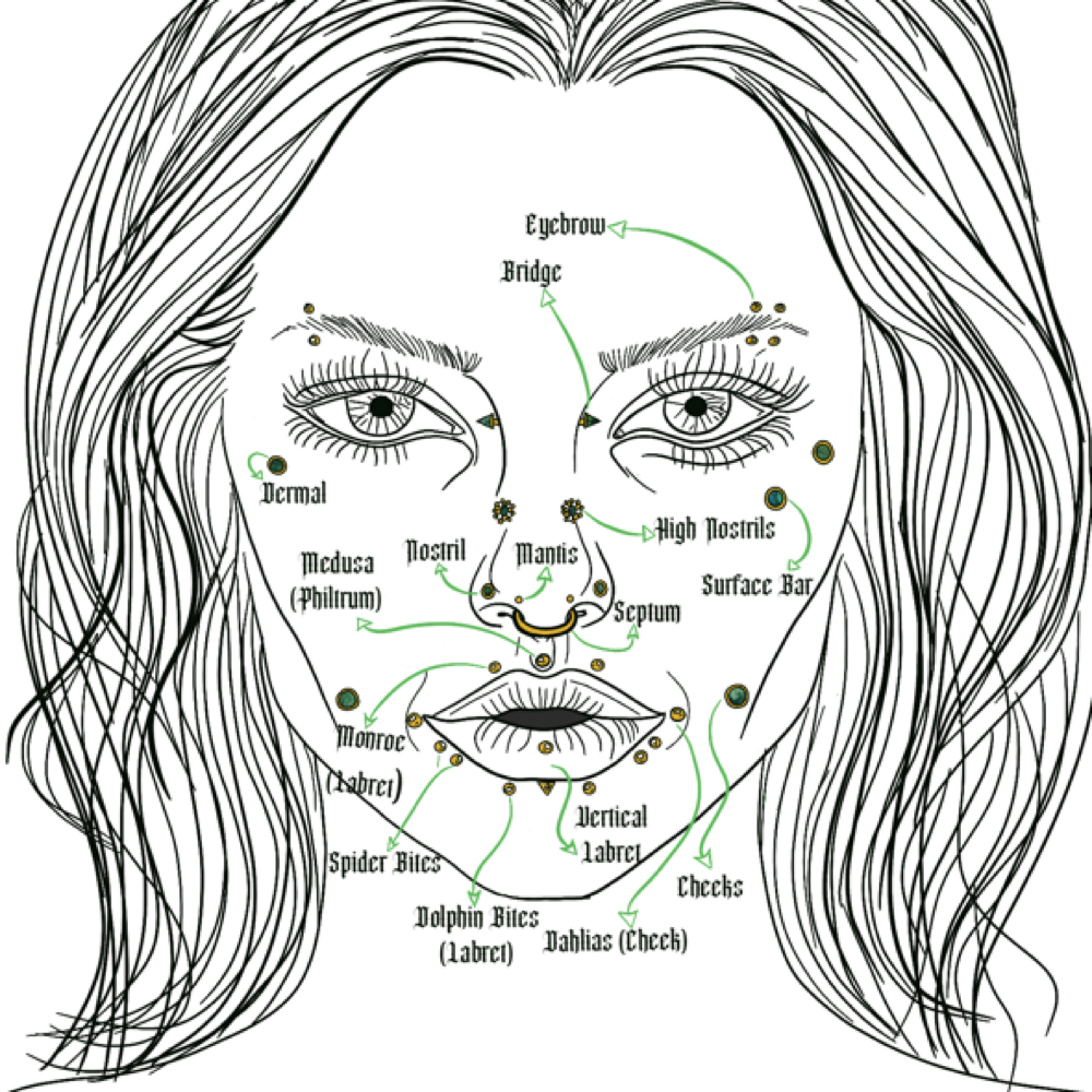 High Nostril (Single) at Ethereal Adornments Pierced By Cambria in Murrieta, CA