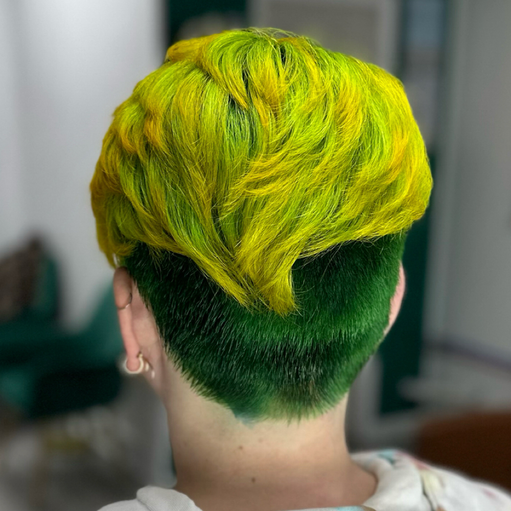 Vivid Haircolor at The Doll House in Enterprise, AL