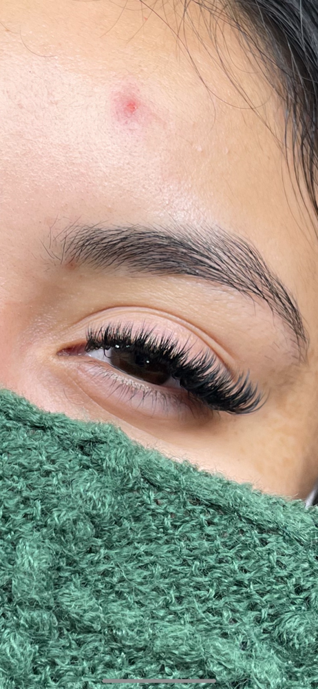 Volume Lash Fill