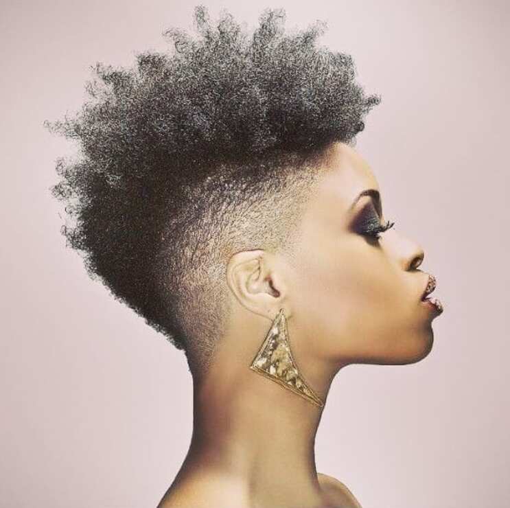 Designer Cut - Shape up