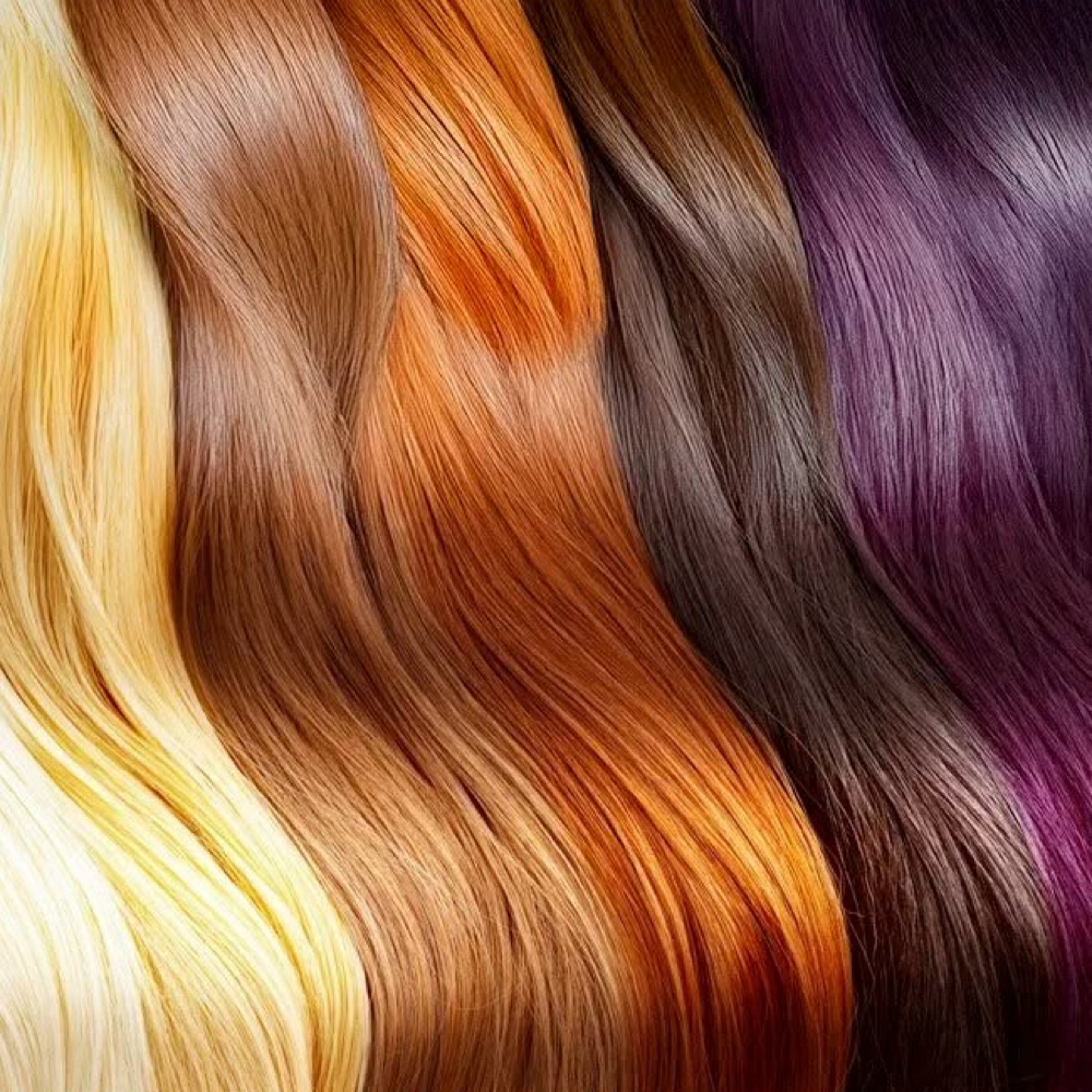 Color Consultation at The Cosmo Studio By Gagan in Sacramento, CA