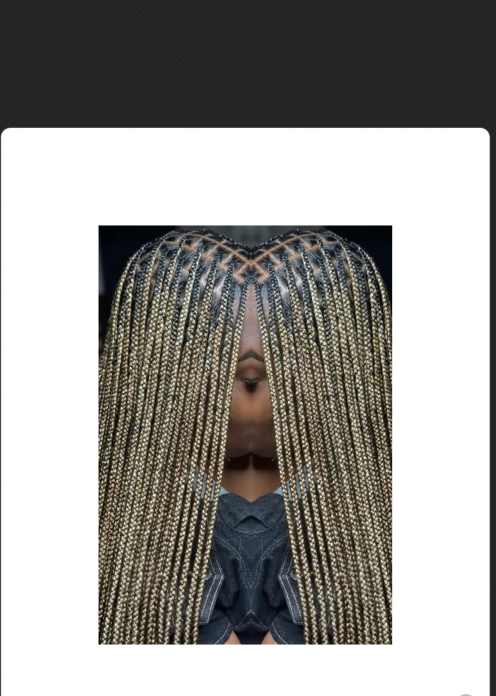 Knotless at NAY HAIR BRAIDING in Springhill, FL