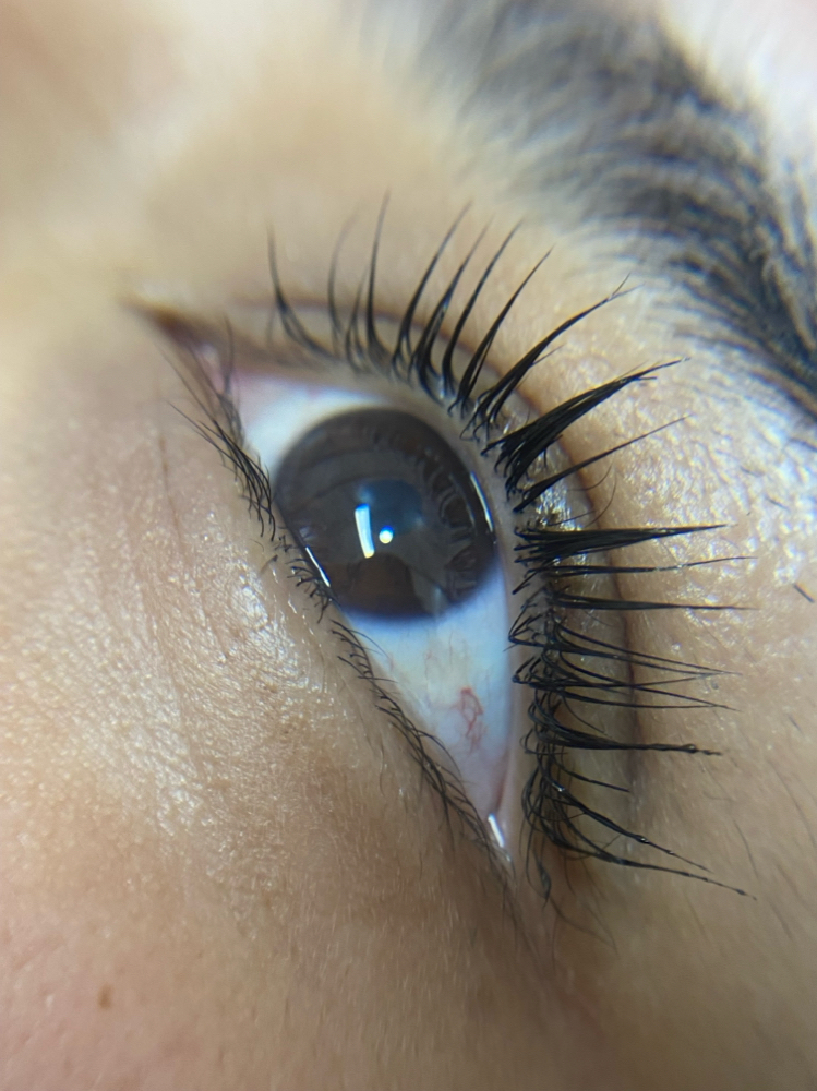 Lash Lift at Darglashes in Rahway, NJ