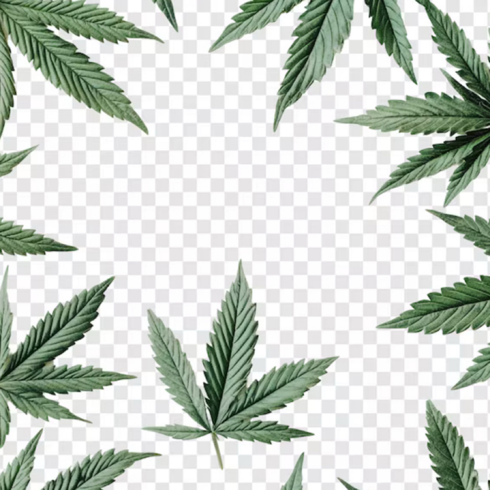 Volcano Serenity Jelly Spa at Bare Bliss Nails in Astoria, OR