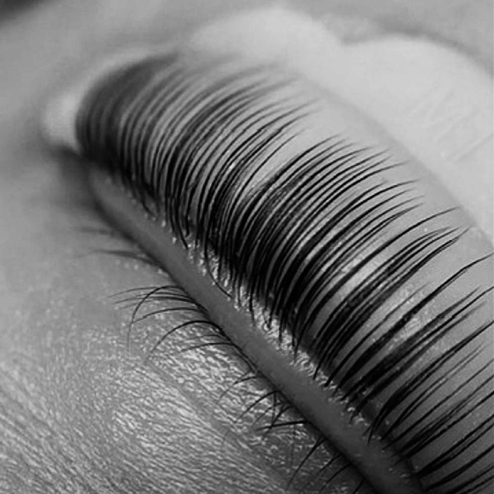 Back To School Lash Lift + Tint at Aesthetics by Hayley in Saginaw, MI