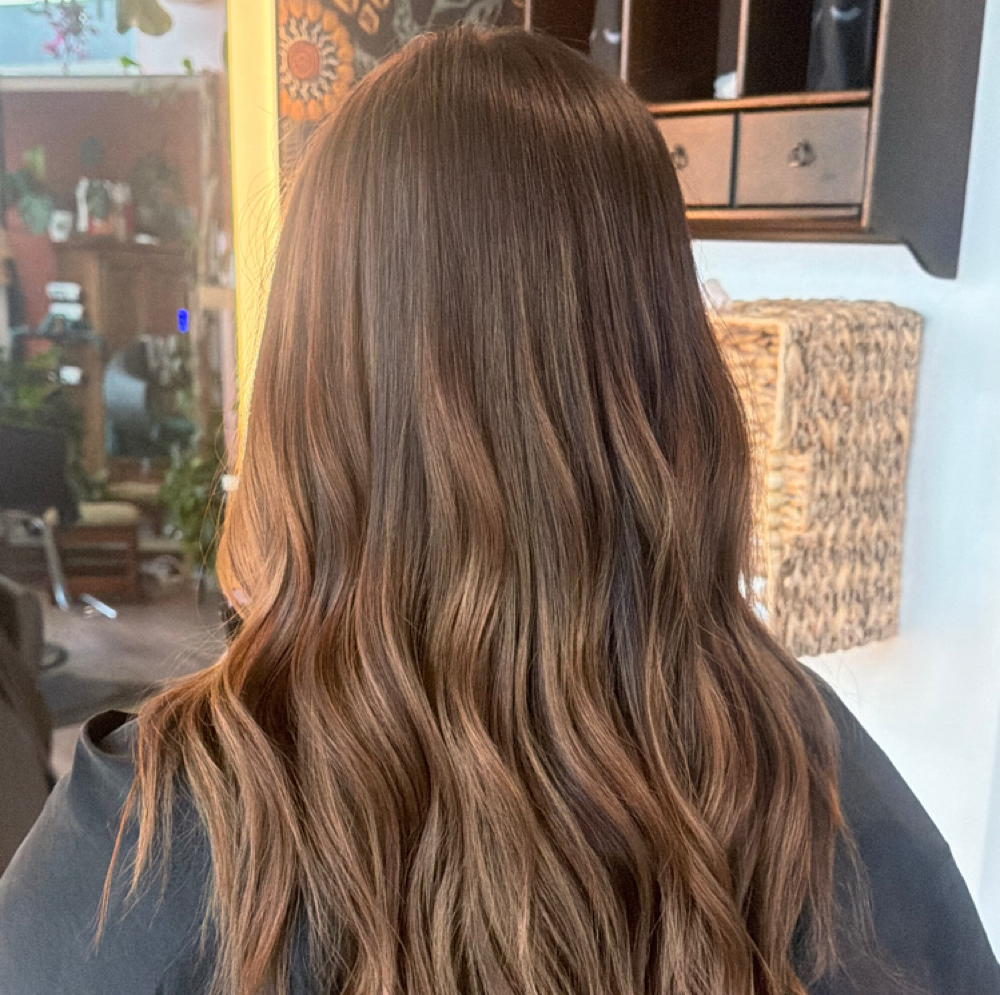 Highlighting at Wild and Rooted in Davenport, IA