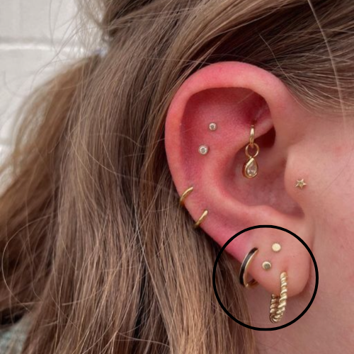 Lobe | Single