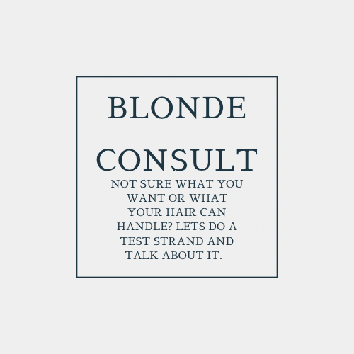 Blonding Consultation