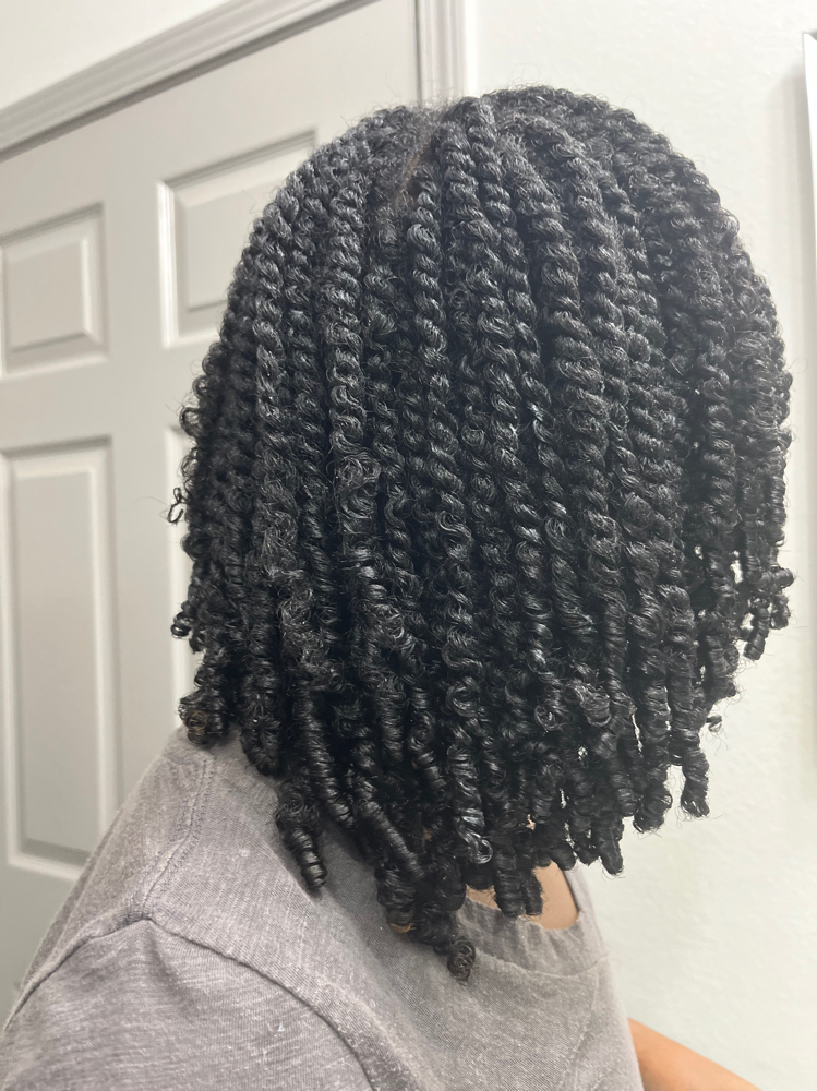 Twists (No Added Hair)