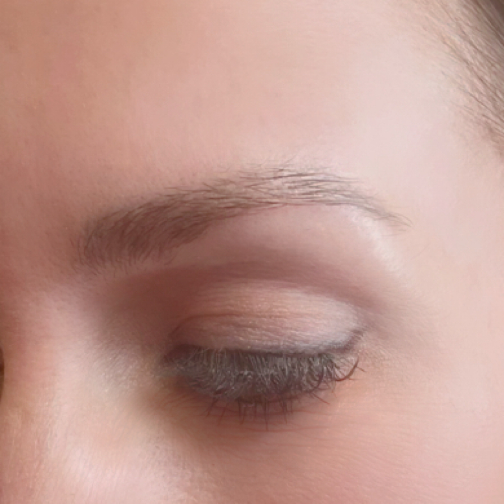 PMU Mini Touch Up at Bronwyn's Wellness Studio in bangor, ME